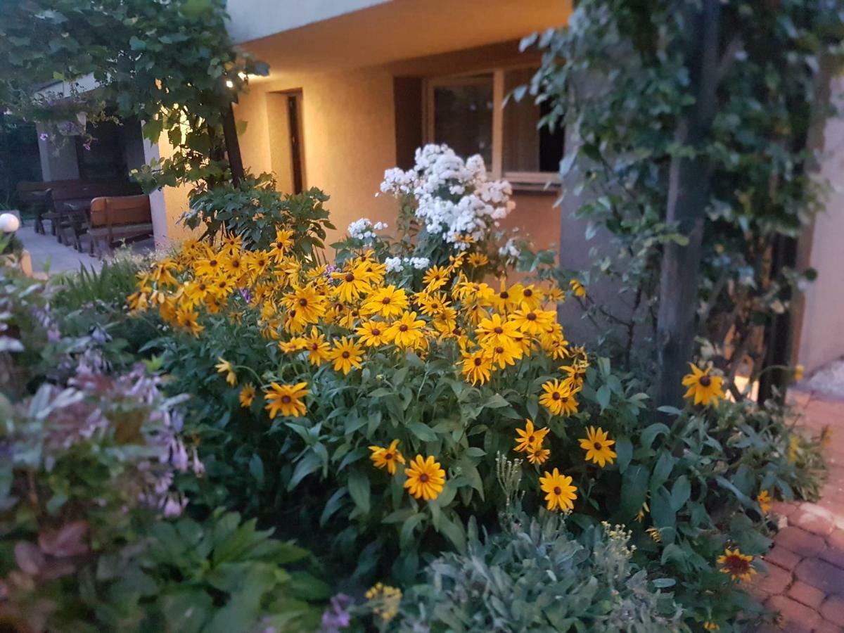 Silesia Apartment *